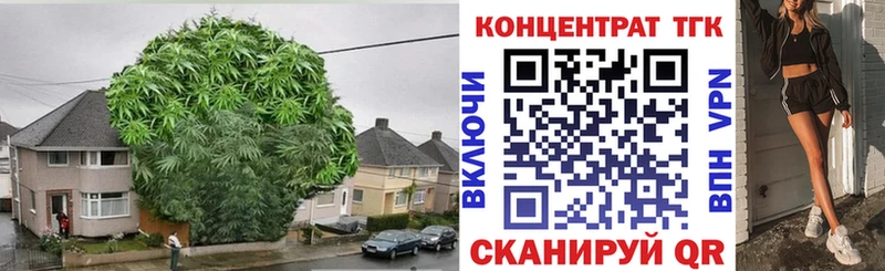 как найти закладки  Обнинск  ТГК Wax 