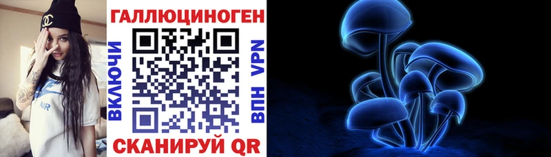 Псилоцибиновые грибы Psilocybe  Обнинск 