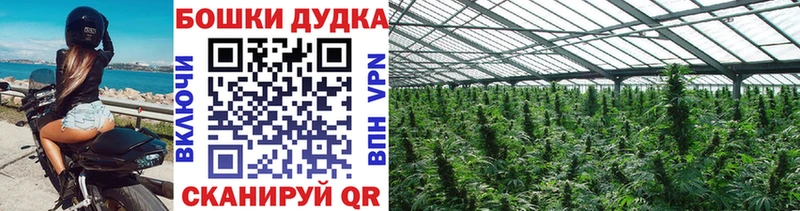 Шишки марихуана планчик  даркнет наркотические препараты  Обнинск 